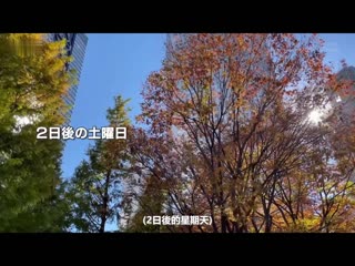 仓园惠 36歳 最终章 生下5位小孩的小穴被交友软体认识的素人男性接连中出做爱！ SDNM-335