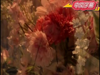原作改编 24小时淫乱按摩～实况写真偶像被肏翻～ 高桥圣子 MIMK-055