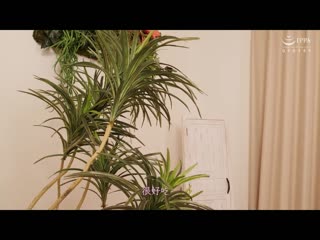 不让你拔中出六连发 近亲相姦紧贴幹炮 小早川怜子 NUKA-58