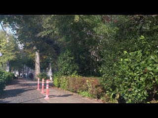 寝取强暴 在社员旅行时持续被上司侵犯。 葵司 SSNI-434