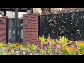 今天的猎物是这对母女 24小时强制侵入强暴 03 BONY-145