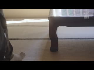 在乡下与日向子姐姐5年未见的重逢。回到故乡的日向子姐姐与我进行了美丽的深情接吻，最后我沉迷于无套中出。 森日向子 MIKR-014