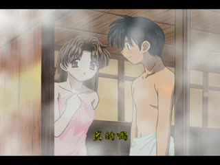 雙人性愛 2nd DV-023