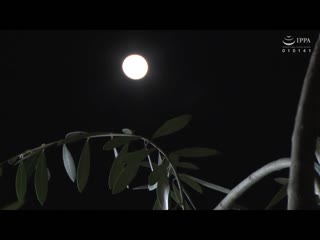 喝下春药感度100倍 母子疯狂般恳求浓厚中出性爱 翔田千里 VENX-166