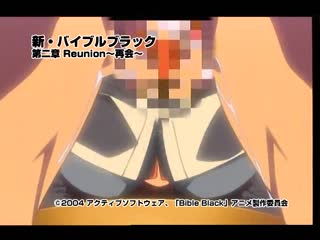 美少女動畫DVD&美少女DVD PlayersGame型錄 2009 DD-055
