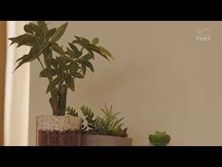 我从小就喜欢的青梅竹马，让她禁欲一个月，在她不在的时候，我狂操了她三天，甜蜜而又痛苦的三天 爱才莉亚 IPZZ-565