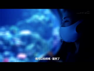 间宫夏美 33歳 第2章 睽违许久约会自己恳求禁断无套中出 SDNM-317