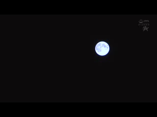 狡猾性感家庭教师的万乳引力，让我毫无抵抗地被钓了。 美谷朱音 DASS-626
