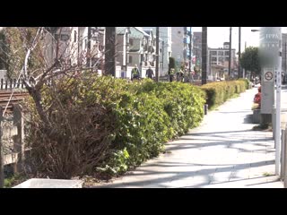 来到东京与儿子每个月一次远距离相姦 本月我也为了抱住儿子启程。 沙月芽衣 VENX-057