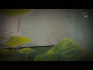 絶顶另一侧持续高潮状态下24小时耐久抽插一生数量的羽咲美晴超夸张性交 SSIS-229