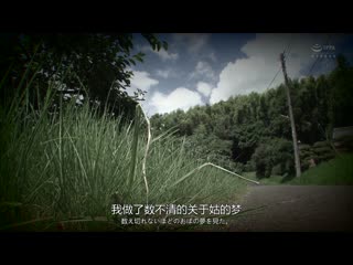 憧憬的姑姑被灌满媚药10日后，变成疯狂中出的阿黑阿黑肉便器…。桐冈五月 ROE-343