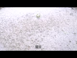 与暴风雨溼透的青梅竹马丧失理性般交络爱合情爱性交。 弥生美月 DASD-739
