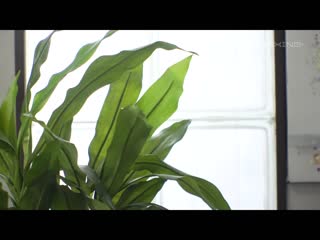 高身高美脚美女工作的猥亵美容室 木下日葵 MXGS-1216