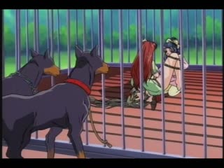凌辱大全<1> DV-049