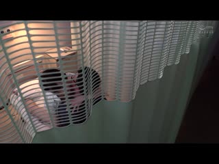 美女护士对骨折无法自慰的我伸出援手… 8 DOCP-239