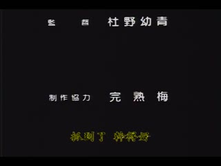 劍芒羅曼史 Ⅱ～六回收錄～ DV-008