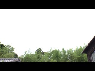 在乡下成长的晒痕雌小鬼女孩用绝伦肉棒让她们理解！！ T-3800018