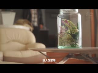 只属于我的继母 七月莉奈 ROE-154