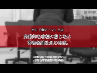 SOD女子社员 絶顶！高潮公司说明会 2023再开！ 就活生来公司说明会会 SDJS-181