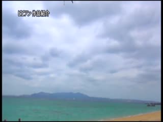 潜入搜查官受困蕾丝边地狱～整型业的黑暗面～ BBAN-060