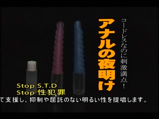 姫騎士安潔麗卡 第2夜 復仇的賽菲娜 DG-128
