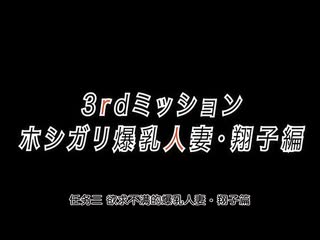 自宅警備員 第三任務 欠幹爆乳人妻・翔子篇 ACMDP-1007