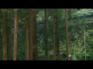 背叛的毕业旅行 松本一香 GVH-034