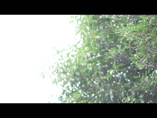老公不在家时、被应召妹时期黑名单客人的公公持续侵犯。 二阶堂梦 FSDSS-378