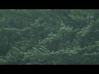 出差处记录大豪雨与处男部下突然睡同房…被与淋湿身体兴奋的部下袭击射9发絶伦性交 西宫梦 IPZZ-059