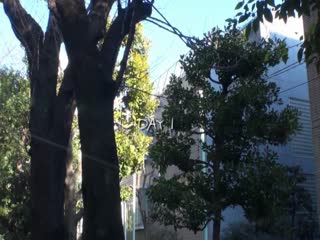 催眠研究所-记者洗脑支配- 波多野结衣 ANX-054
