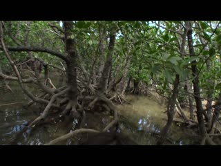 【无码流出版】松冈千菜 所有都是第一次 STAR-573