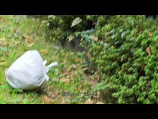 搬到乡下的情侣。被隔壁家的乡下前混混玩弄到她的极限…宫城理惠 URKK-114