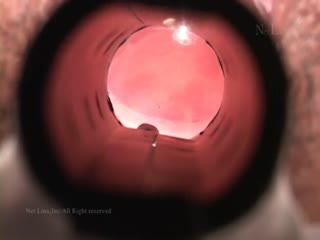 东热激情 屈辱羞耻鸭嘴器特集 Part1 n1262