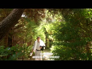 寝取 妻子被公司后辈睡走 加藤椿 NTRD-112