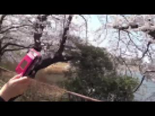 與超下流美人熟女懷孕性愛！現役模特兒秘密交際性愛流出！ FC2-PPV-1075263