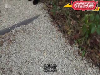 搭讪主妇 36 ～窥视美腿人妻～ 峰岸结衣 Pacopacomama 022718_228