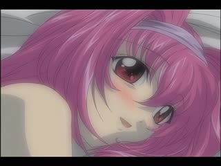 D＋VINE[LUV]～四回收錄 DV-044