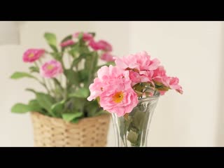 代理孕母 山濑美纪 ALDN-227