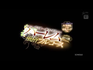 S1 No.1 Style 20週年纪念 AV业界史上的最强搭档作品 世界级女优们极上服侍 超S1级 后宫风俗全套服务 SONE-565
