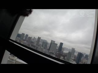 和最赞爱人正妹幹到中出 67 SGA-153