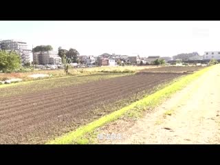 性骚扰屁孩痴汉小队 泳池编 RCTD-512