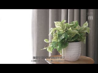 可以让我当你的练习台吗？充满魅力的义母在男士美容院工作，让我无法忍受勃起的练习让我理性崩溃… AIKA MIAB-492