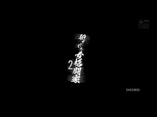 侵犯女格斗家 2 波多野结衣 SHKD-800