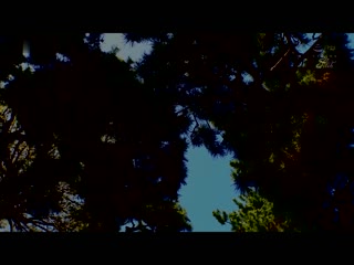 受精宿 与飢渴子种的民宿巨乳姊妹逆3P播种性交 小花暖 唯奈美月 JUFE-409