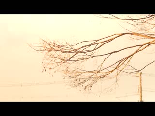 美人母女、开动啦。与数十年前怀孕的女人和她女儿见面。 牧野未央奈 森泽佳奈 DASS-059