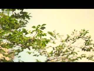 即将退休的教师在最后的校外教学中… 被平常认真校内最身材出众的可爱学生浓厚度过口交夜袭取精的三天两夜 叶澄枫 JUFE-544