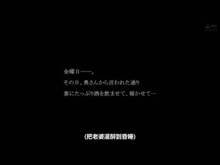 果然单亲妈妈最棒啦… 桧山百合香 ALDN-258
