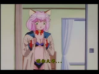夢想家 第1作～第3作完全版 DV-079
