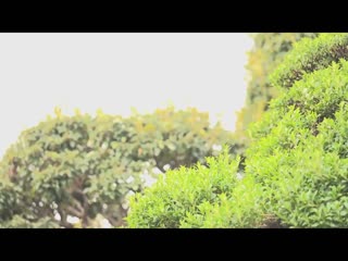 住乡下的大嫂无防备不戴胸罩姿态对我无自觉诱惑 夏目彩春 ADN-581