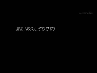 大量中出隔天也开朗进公司上班♪ 经常在东京都新宿区■■站南口路上开演唱会的公司职员与创作歌手夏花（假名・21歳） 痉挛颤抖！有感到恳求无套插入、初次的中出 SDTH-037
